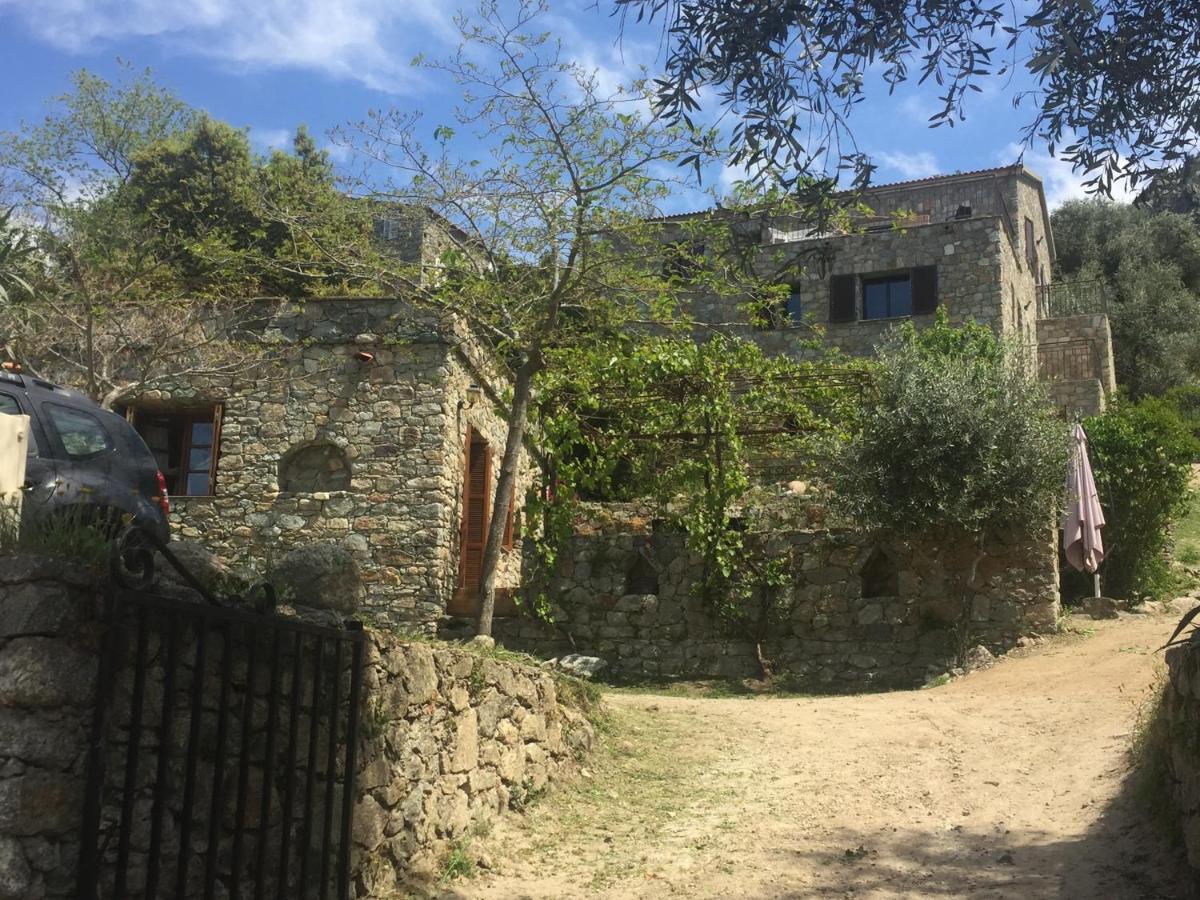 Urtaca Residence Casa Di Roc מראה חיצוני תמונה